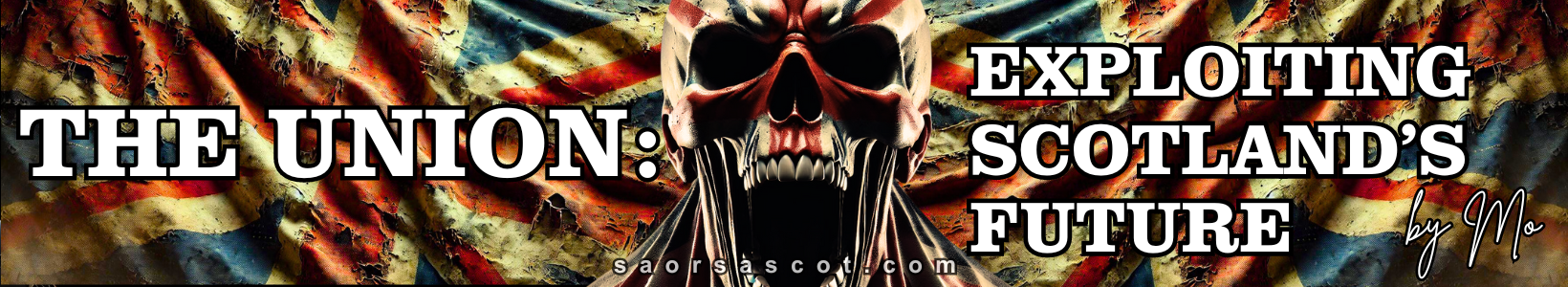 Banner image