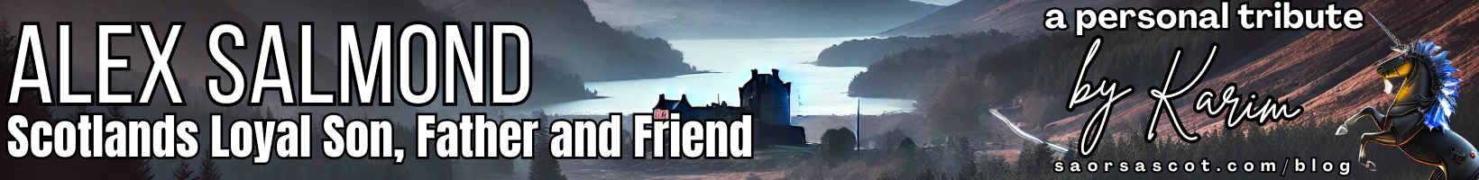 Banner image